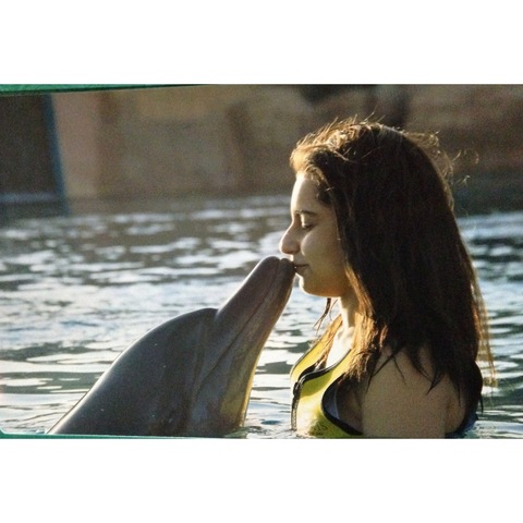 Went to Aquaventure (Atlantis) and swam with dolphins (Dubai)