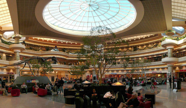 Layover in Atlanta