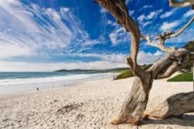 november13, 1620 Cape cod bay