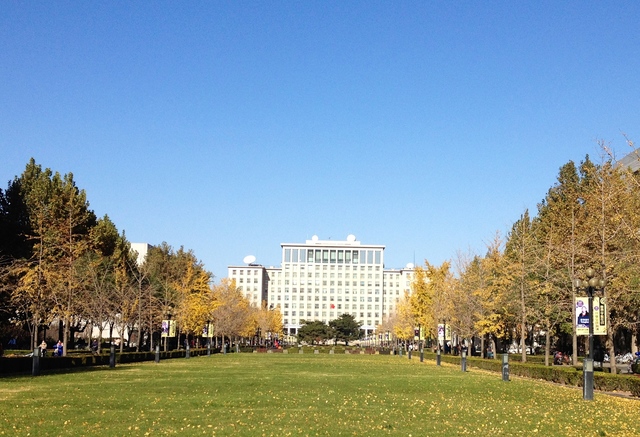 Project 985 Established