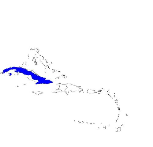 The Bay of Pigs Invasion Begins