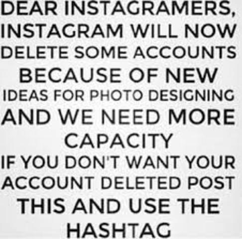 Instagram Deleting Spam Users