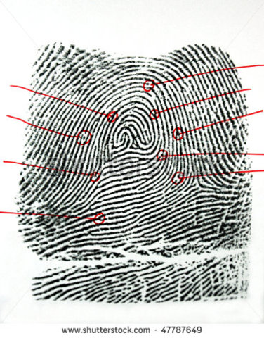 Fingerprint