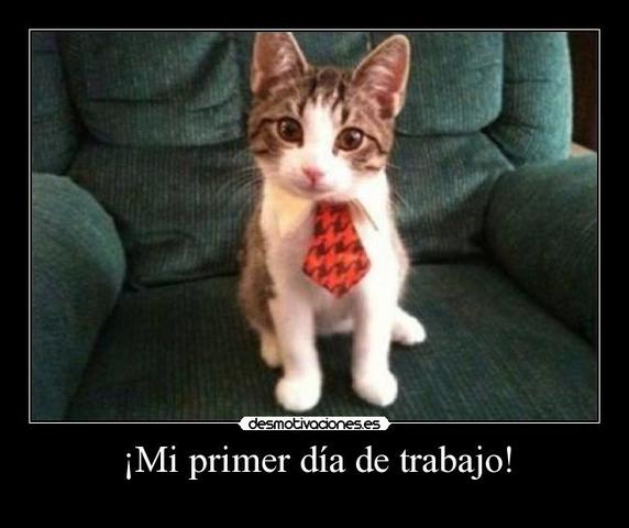 primer dia de trabajo