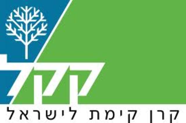 הקמת גופים למען מדינה יהודית