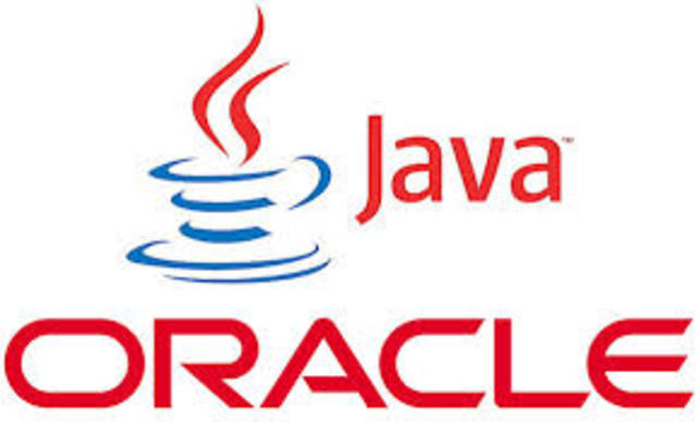Java Programming Language
