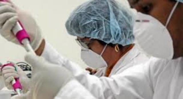 Brote del Virus AH1N1