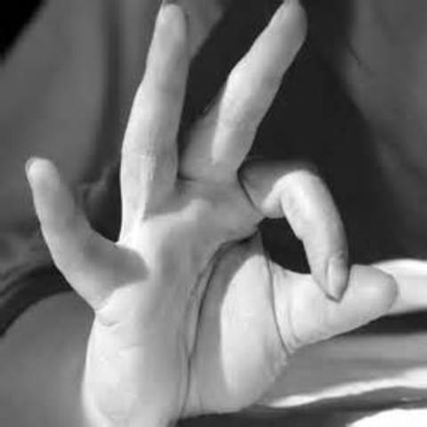 Inveccion del Lenguagede signos