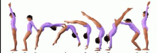 My Life As A Gymnest