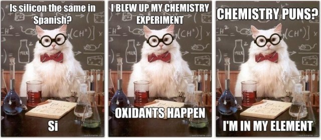 This Timeline is Completed