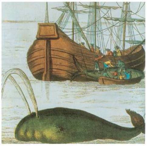 XV. mendean euskal arrantzaleak baleak ehizatzen hasi ziren