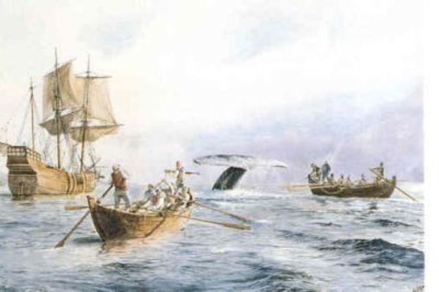 Balearen ehizaren gainbera XVI-XVII mendeetan