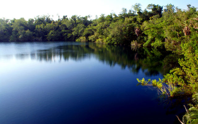 Cenote Azul y Cena de Año Nuevo