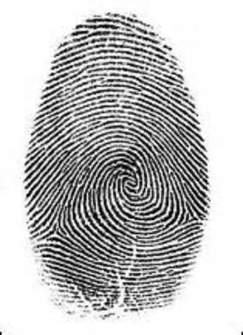 New York State Prison