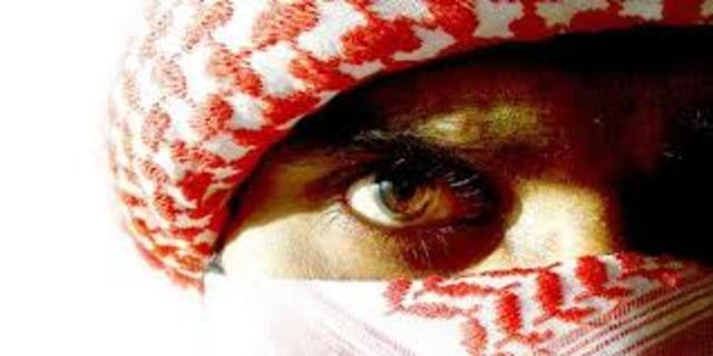 Chapter 19- The video