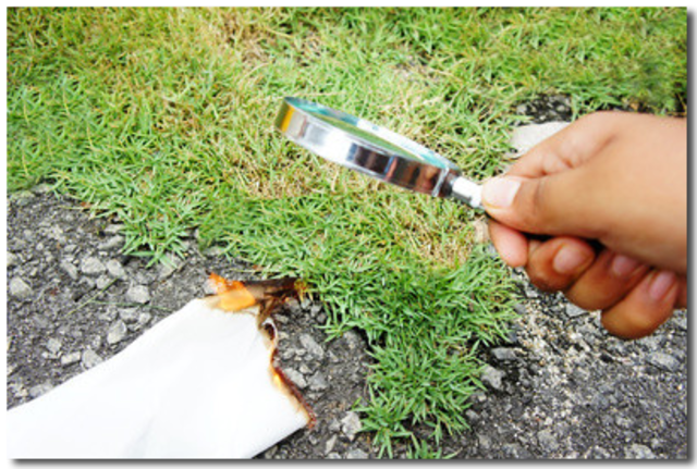 The "Holy Fire from Heaven"