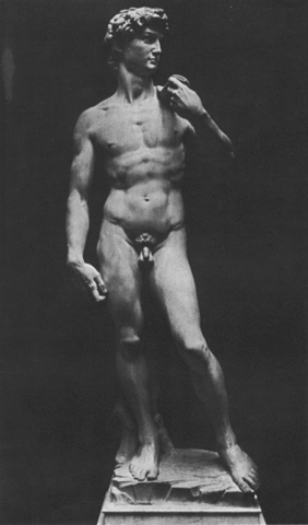 Michelangelo sculps the david