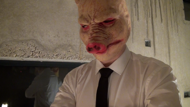 Pig stares at the loot