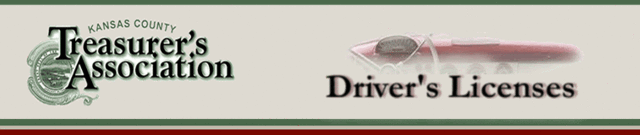 obtained my restricted drivers license