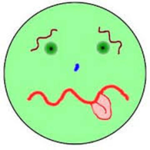 Me hermano se hizo infermo