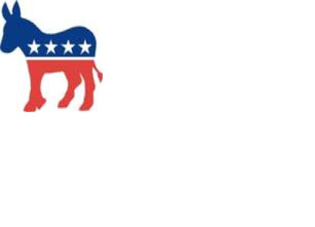 Johnson won democractic president nomination.