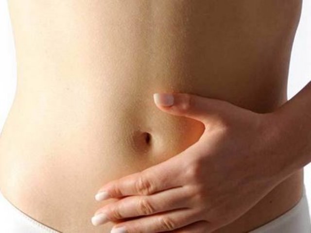 El procès de gestació ha començat.