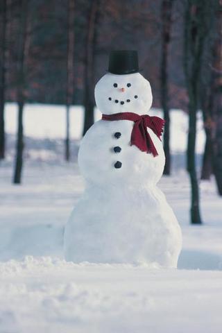 The Snowman