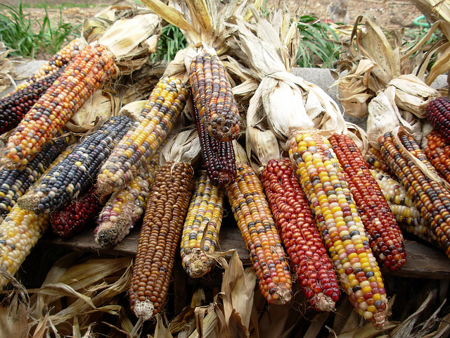 Colinization Of Africa