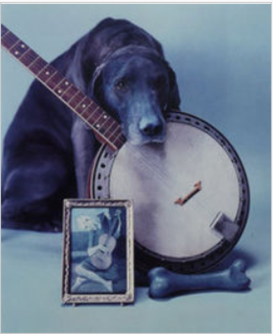 William Wegman
