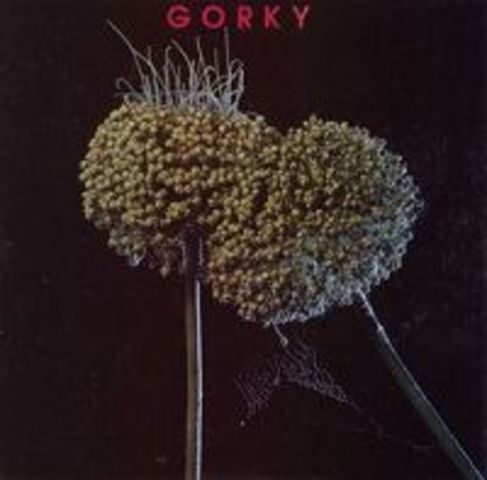 Debut album 'Gorky' appears