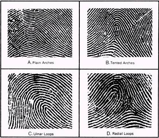 Systematic use of fingerprints