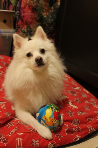 Naixement d'en Goofy!