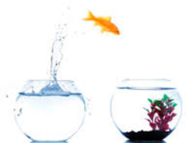 Started School In Osmond