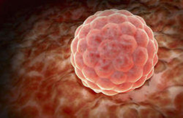 tercer semana de embarazo