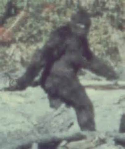 Bigfoot Receives Protection