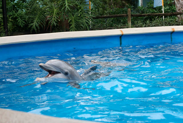 Viajé a Antigua durante las vacciones de verano