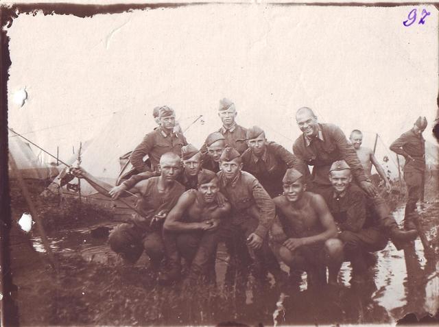 Верные товарищи