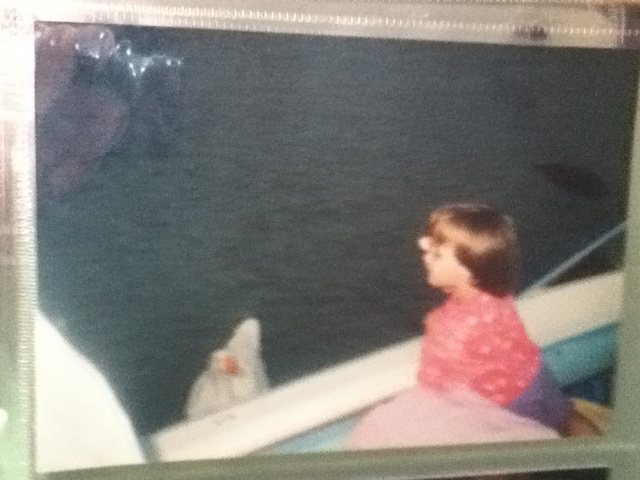 The First Time I Saw Fireworks