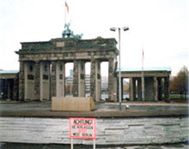 Caide del muro de Berlin (fin de la guerra fria)