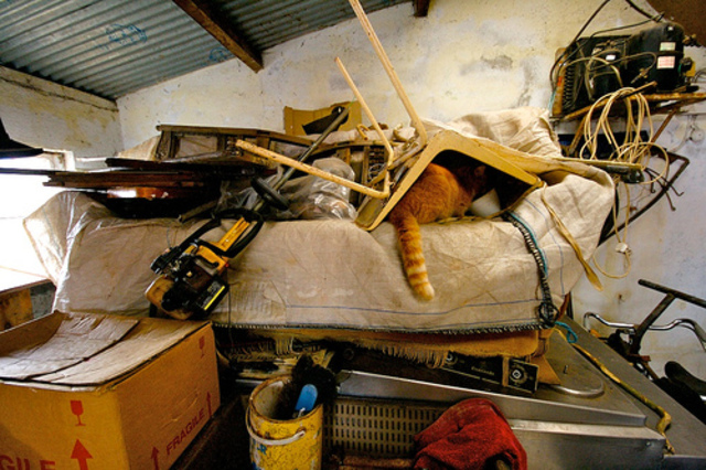 Lazy or Diseased: What's the Difference?