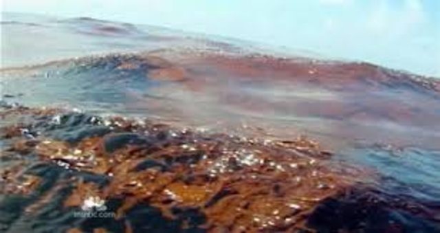 Many States Effected by the Oil Spill