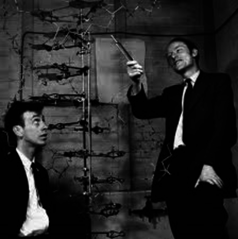 James Watson and Francis Crick