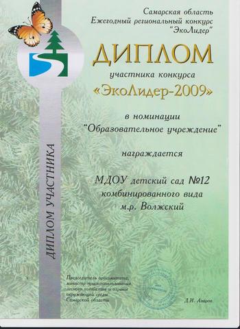 Достижения коллектива 2009