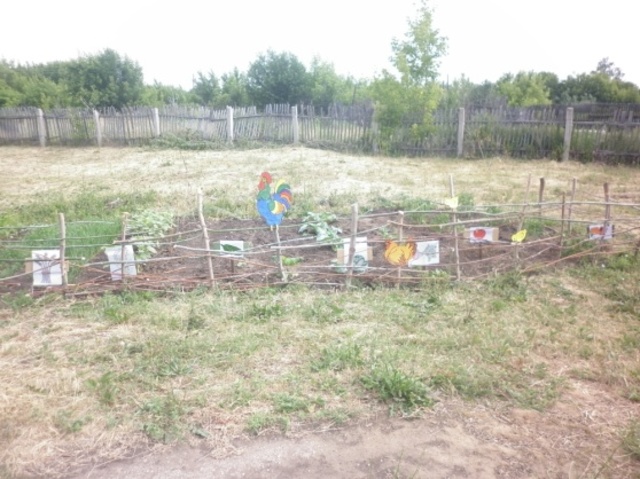 Летний период в ДОУ