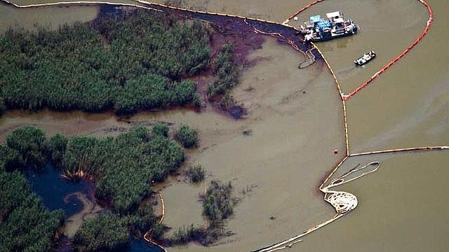 affected all five U.S Gulf Coast States