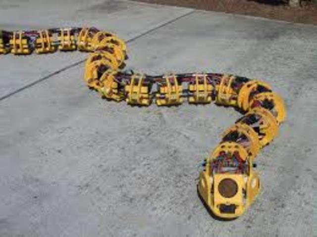 Robot serpent (Gavin Miller)