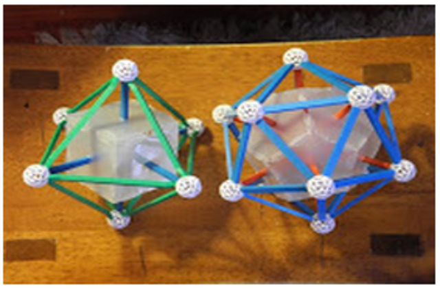 Bacteria/Virus Project