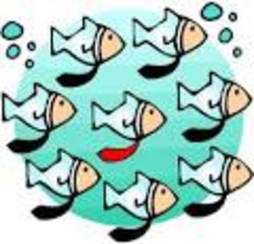 Students with disabilities will be indistinguishable from the general population