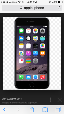 Launch of an Apple Revolution