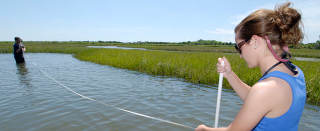 Getting a job as a part time marine biologist